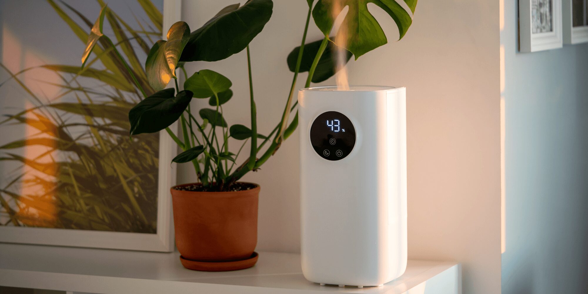 Mikey Mac Indoor Air Quality Services Indoor Air Quality — Mikey Mac Heating & Air Conditioning